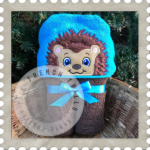 Hedgehog Boy